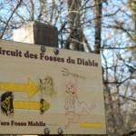 DSCN8379