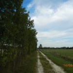 DSCN0009