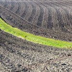IMG_0265