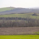 IMG_0274