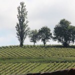 150517 STE CROIX DU MONT 1