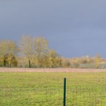 DSC_0003