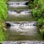 IMG_6171