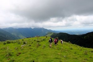 img_7048