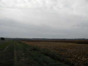 1016-thenac-2